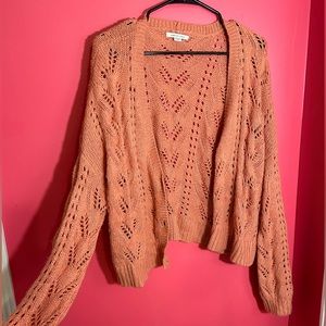 American Eagle Cardigan